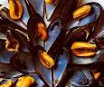 cozze fishbox